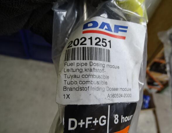 Fuel Hose DAF XF 105 Leitung Paccar 2021251 Original