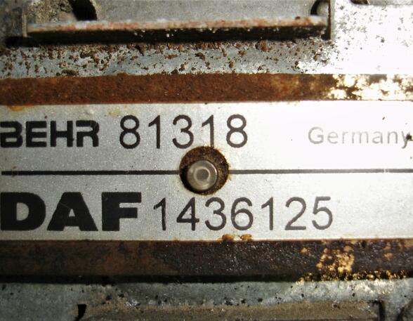 Koppeling radiateurventilator DAF 95 XF Behr 81318 DAF 1436125 1319780 1331147 1334257