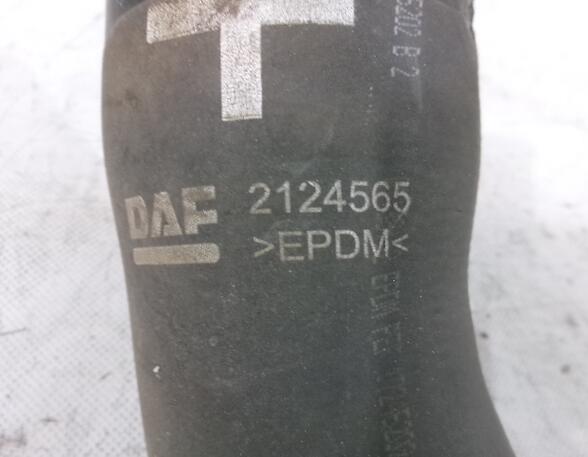 Radiator Hose DAF XF 105 2124565