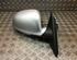 Wing (Door) Mirror VW Passat Variant (3B6), VW Passat (3B3)