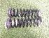 Coil Spring BMW 4 Coupe (F32, F82)