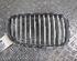 Radiator Grille BMW 1er Coupe (E82)