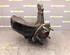 Stub Axle FORD Focus C-Max (--), FORD C-Max (DM2), FORD Kuga I (--), FORD Kuga II (DM2)