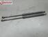 Bootlid (Tailgate) Gas Strut Spring TOYOTA Avensis Station Wagon (T25)