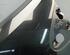 Kotflügel links Pearlescent Black RENAULT CLIO III (BR0/1  CR0/1) 1.2 16V 55 KW