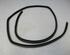 Door Seal BMW 5er Touring (E61)