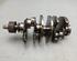 Crankshaft AUDI A4 Avant (8E5, B6), AUDI A4 Avant (8ED, B7)