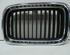 Radiator Grille BMW 3 Coupe (E36)