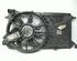 Radiator Electric Fan  Motor FORD C-Max (DM2)