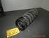 Coil Spring BMW 3er Coupe (E92)