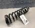 Coil Spring BMW X1 (E84)