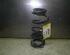 Coil Spring FIAT Grande Punto (199), FIAT Punto (199)