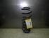 Coil Spring BMW 5er Touring (E39)