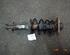 Suspension Strut FIAT Punto (176)