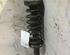 Suspension Strut SEAT Ibiza II (6K1)