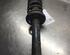 Suspension Strut SEAT Ibiza II (6K1)