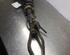 Suspension Strut MAZDA 6 Station Wagon (GY)