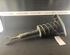 Suspension Strut AUDI A4 Avant (8D5, B5)