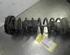 Shock Absorber BMW 5er (E39)