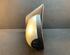 Wing (Door) Mirror RENAULT Twingo II (CN0)