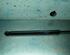 Bootlid (Tailgate) Gas Strut Spring OPEL Signum (--)