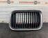 Radiator Grille BMW 3er (E36)