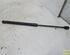 Gas Spring OPEL Astra H (L48)