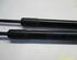 Gas Spring OPEL Astra H GTC (L08)