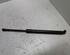 Gas Spring BMW 5er (E39)