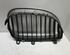 Radiator Grille BMW 5er Touring (E61)