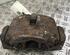 Brake Caliper VW Passat Variant (3C5)