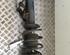 Suspension Strut BMW 1er (E87), BMW 1er (E81)