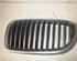 Radiateurgrille BMW 5 Touring (F11)