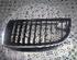 Radiateurgrille BMW 3 (E90)