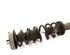 Suspension Strut BMW 7er (E65, E66, E67)