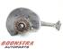 Stub Axle AUDI A4 Avant (8K5, B8), AUDI A5 Sportback (8TA)