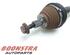 Drive Shaft VW Passat Alltrack (365), VW Passat Variant (365)