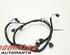 Wiring Harness RENAULT Clio IV Grandtour (KH)