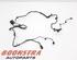 Wiring Harness LAND ROVER Range Rover IV (L405)