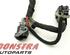 Wiring Harness FORD Fiesta VI (CB1, CCN)