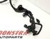 Wiring Harness FORD Fiesta VI (CB1, CCN)