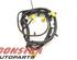 Wiring Harness FIAT Freemont (345)
