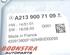 P19482336 Steuergerät MERCEDES-BENZ E-Klasse (W213) A2139007109