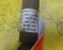 Shock Absorber FIAT Croma (194)