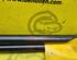 Gas Spring HYUNDAI Getz (TB)