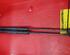 Bootlid (Tailgate) Gas Strut Spring DAEWOO Rezzo (KLAU), CHEVROLET Rezzo Großraumlimousine (U100)