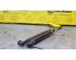 Bootlid (Tailgate) Gas Strut Spring DAIHATSU Sirion (M3), SUBARU Justy IV (--)