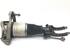 Suspension Strut PORSCHE Cayenne (9PA)