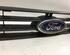 Radiateurgrille FORD FOCUS Turnier (DNW)