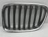 Radiator Grille BMW X1 (E84)